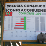 La Contabilidad En El Sector De La Agricultura El Buen Contador